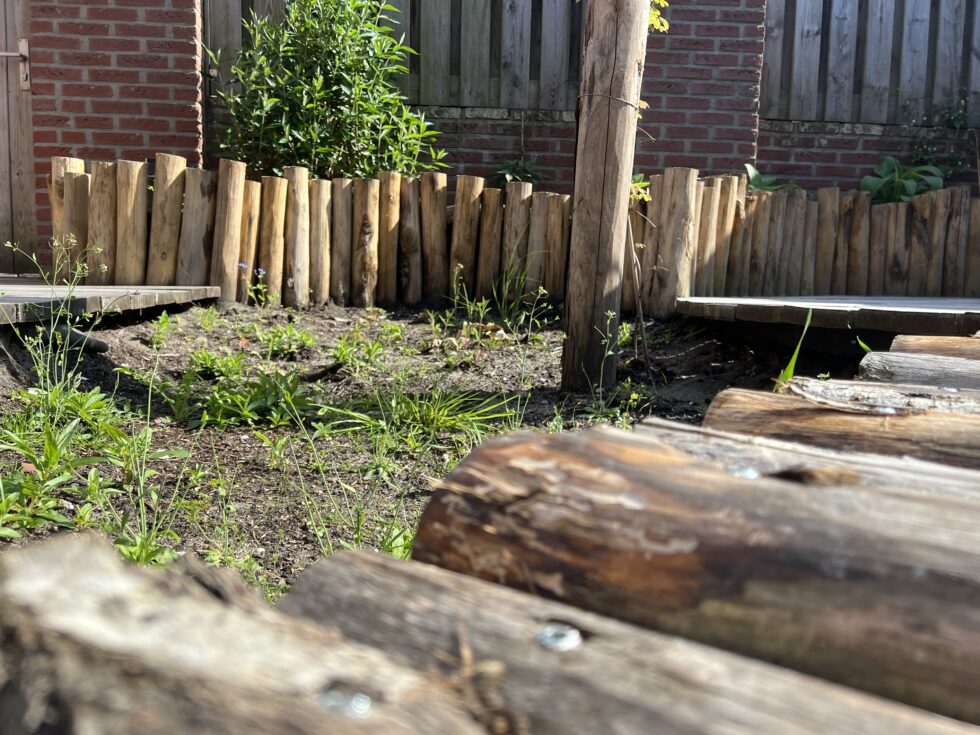 Wadi in de tuin: een florerend systeem voor elk weer