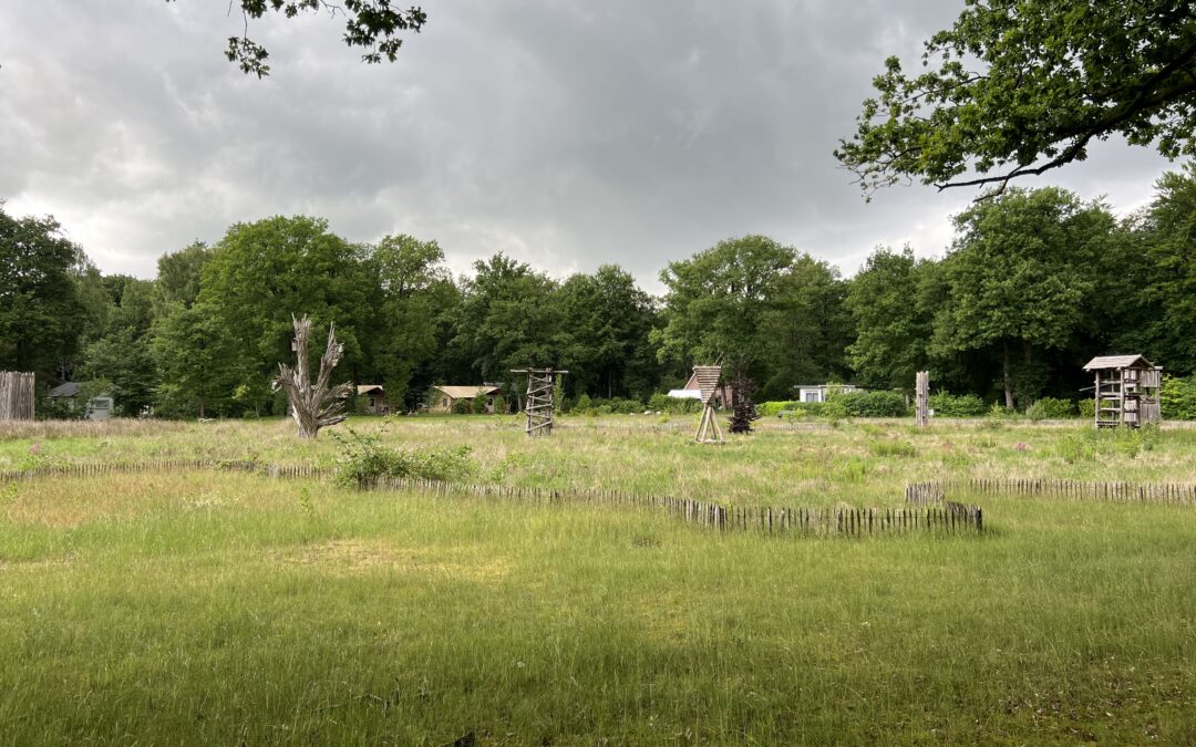Een grasveld met wat houten bouwwerken erop